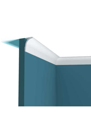P153 Perfect Plus®(60 мм/ 41 мм)