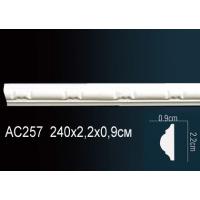 AC257 Perfect (22мм /9мм )