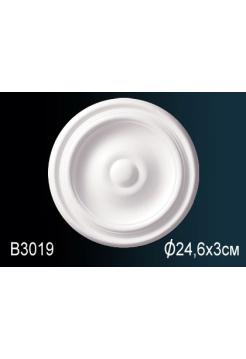 B3019